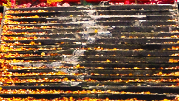 札幌伏見稲荷神社の写真(高解像度)