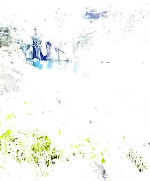 にゃんころりんさんからの投稿写真