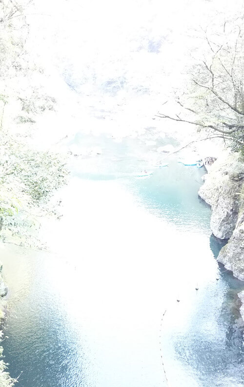 にゃんころりんさんからの投稿写真