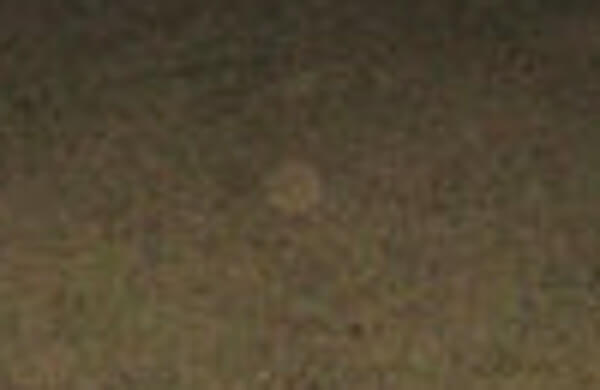 中年おっさんさんの投稿写真(オーブ部分拡大)