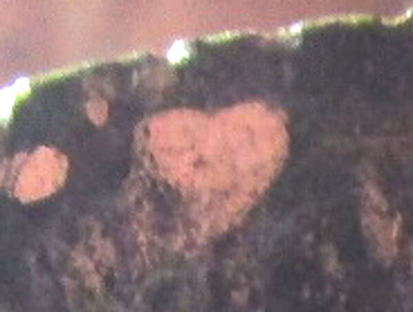 中年おっさんさんからの投稿写真(ハート部分)