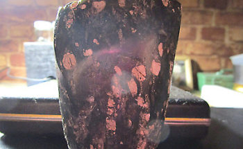 中年おっさんさんからの投稿写真