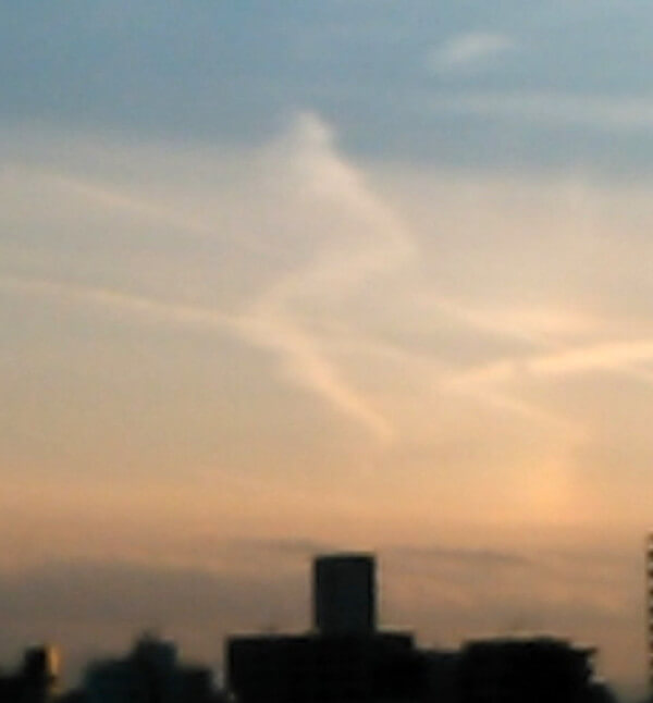 龍っぽい雲の投稿写真