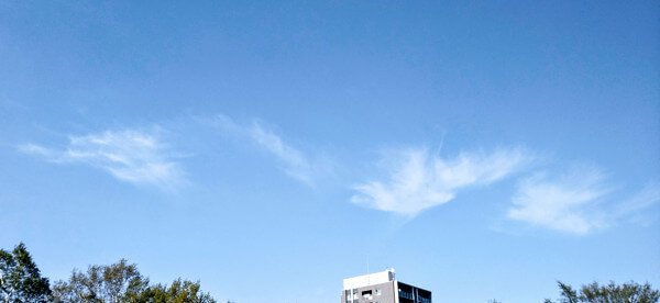 龍っぽい雲の投稿写真