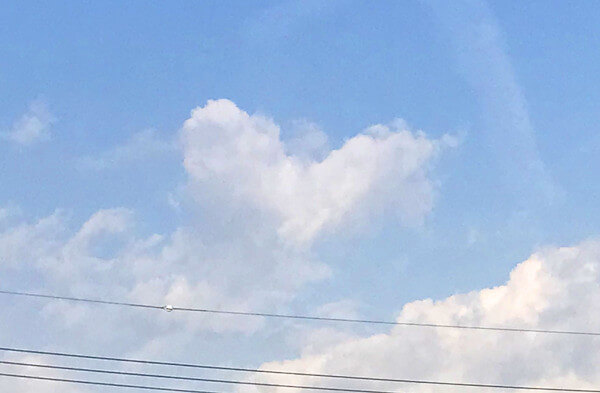 ハートのような雲の写真