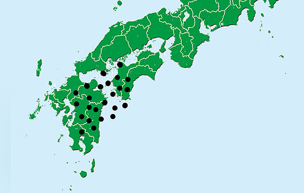 kiriさんからご投稿のイメージイラスト