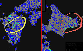 強震モニタの画像
