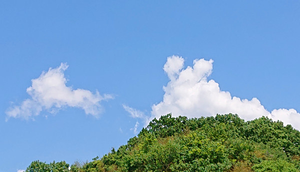 うさぎのような雲の写真