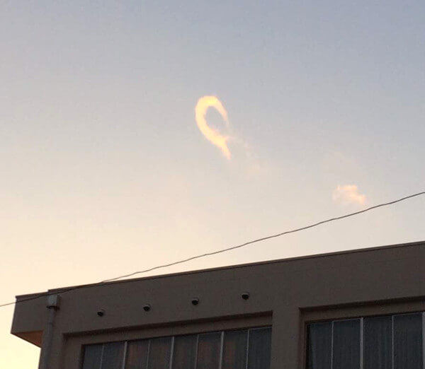 きのこの山さんからの投稿写真