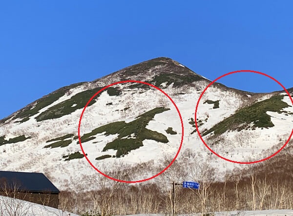 いちこさんからの投稿写真