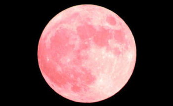 ストロベリームーンの写真