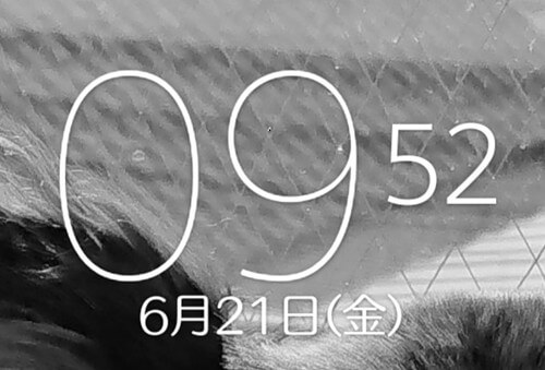 HALさんからの投稿写真