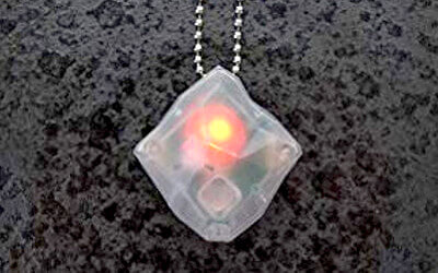 ばけたんの写真