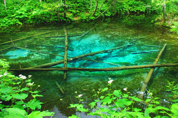 神の子池の写真