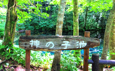 神の子池の写真