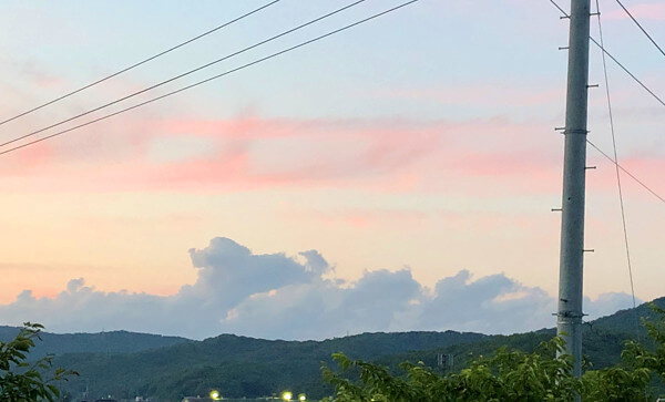 モコミーさんからの投稿写真