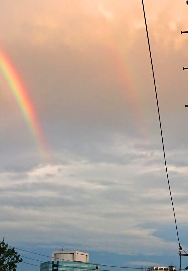 ダブルレインボーの投稿写真