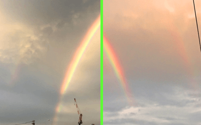 ダブルレインボーの投稿写真