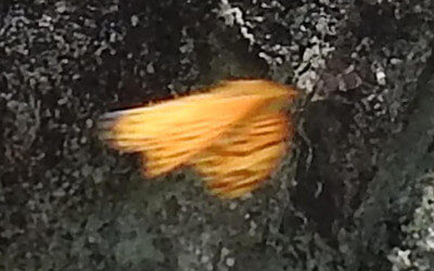 北の大地からの投稿写真