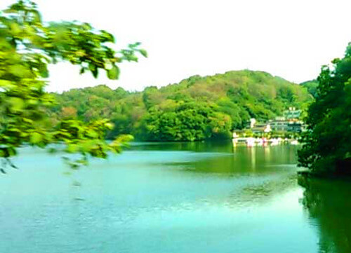 mintさんからの投稿写真