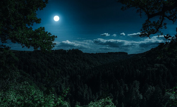 夜のイメージ画像