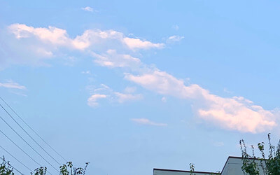 「龍雲」の投稿写真