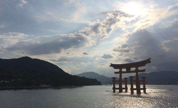 makotoさんからの投稿写真