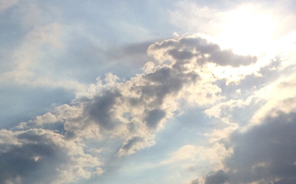 makotoさんからの投稿写真