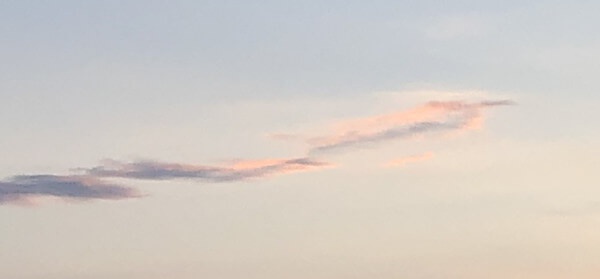 当麻さんからの投稿写真