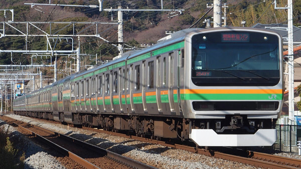 東海道線・宇都宮線・高崎線・上野東京ライン・湘南新宿ラインを走る車両の写真