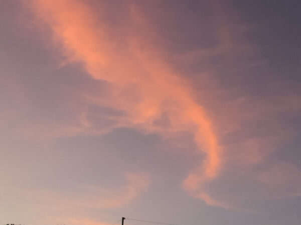 面白い形の雲の写真「ネコとイヌ」