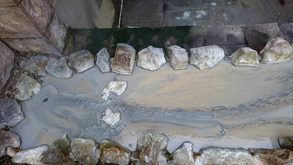 三日月さんからの投稿写真