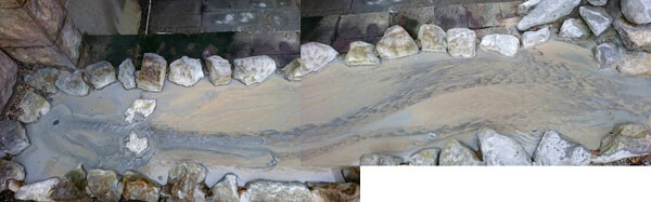 三日月さんからの投稿写真