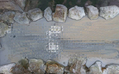 三日月さんからの投稿写真