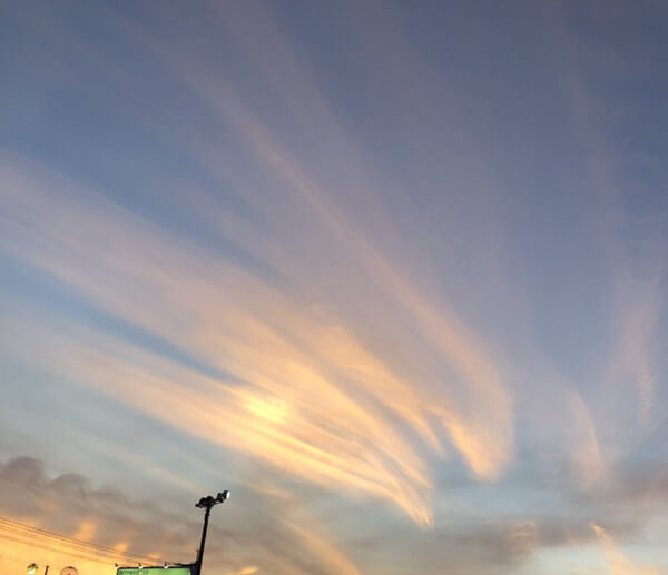 面白い形の雲の写真「火の鳥」