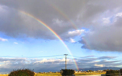 ダブルレインボーの写真