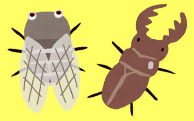 セミとクワガタのイラスト