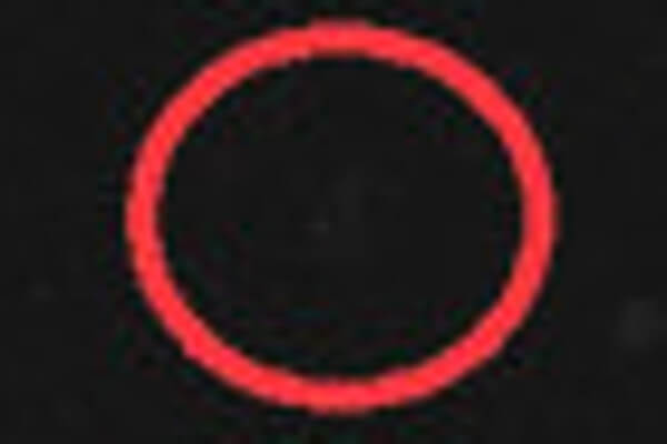 中年おっさんさんご投稿の写真