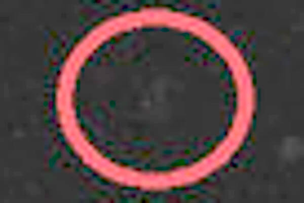 中年おっさんさんご投稿の写真