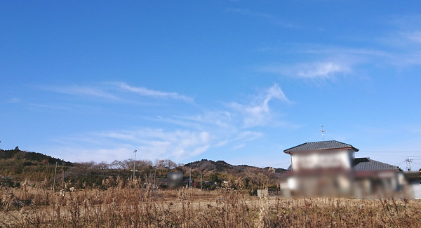 鳳凰っぽい雲の写真