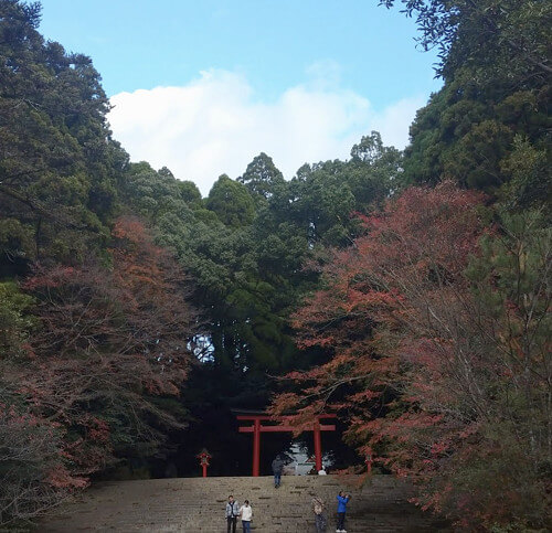 霧島神宮の写真