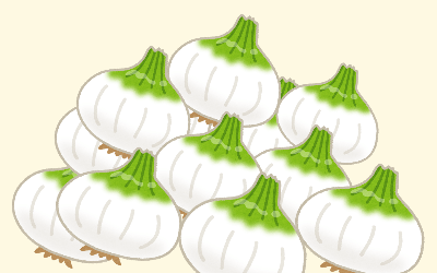 たまねぎのイラスト