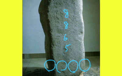 アルパカさんからの投稿写真