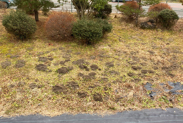 もぐら塚の投稿写真