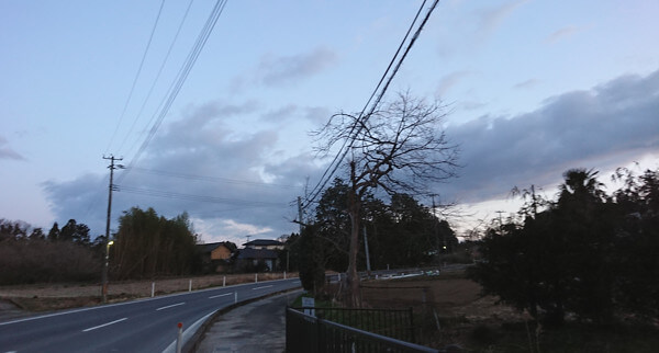 龍ような雲の写真