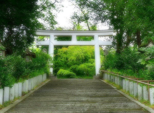 神社の写真