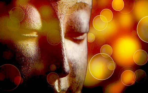 虫の知らせのイメージイラスト