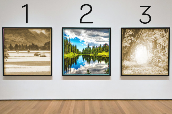 3枚の写真(カラー)