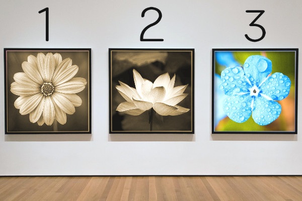 3枚の写真(カラー)