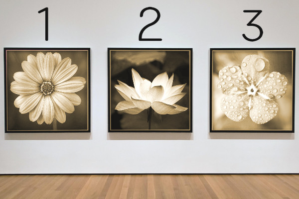 3枚の写真(セピア)